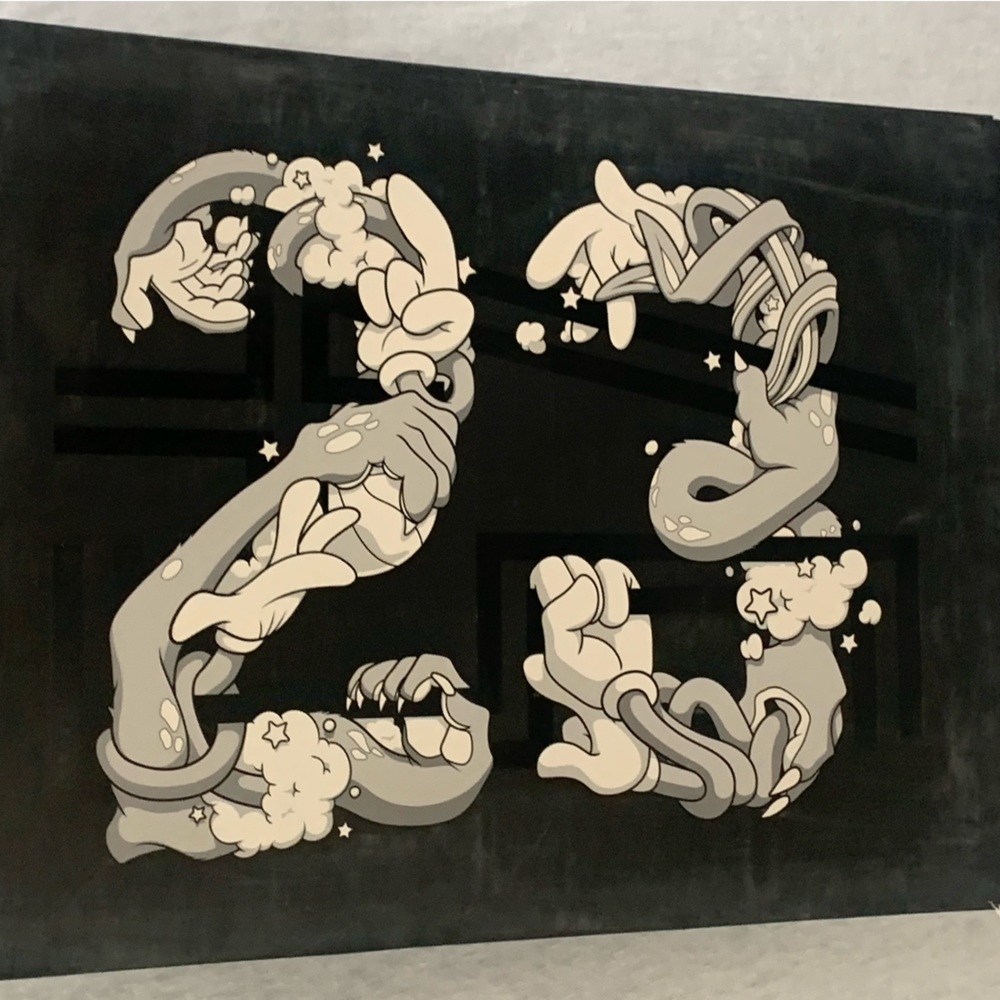 Jordan 11s Space Jams - Picture 3 of 4